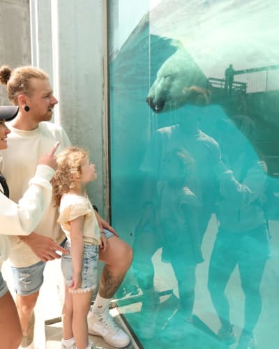 A family at St-Félicien Zoo