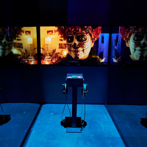 Multimedia Experience