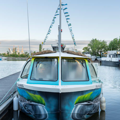 Guided cruises