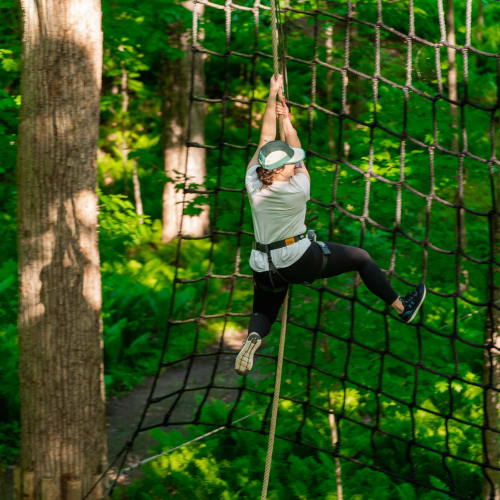 Treetop course or zipline