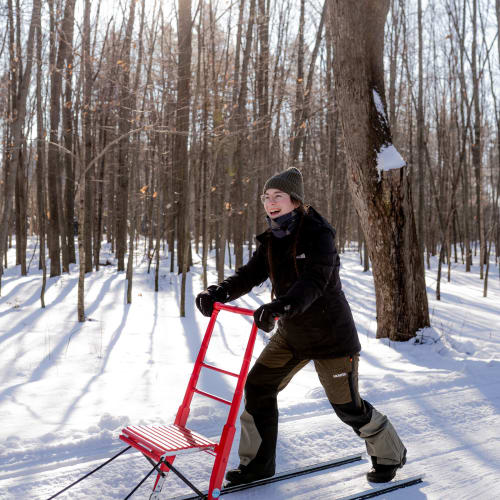 Snow scooter