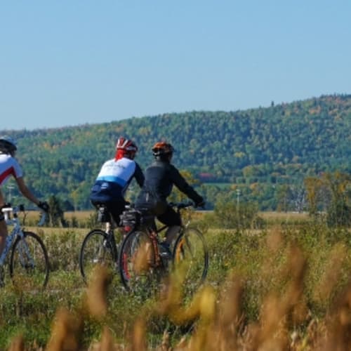 Cycling