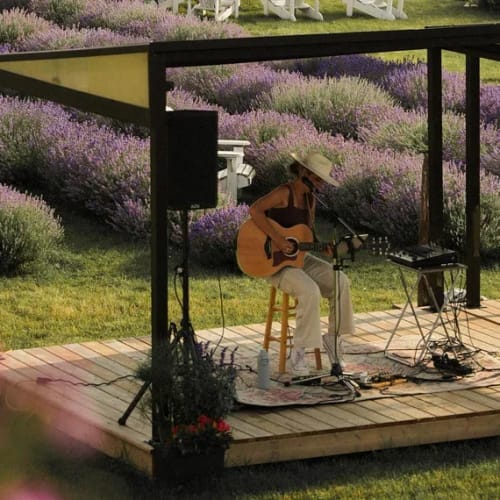 Musical performances