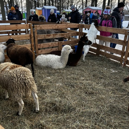 Outdoor petting farm