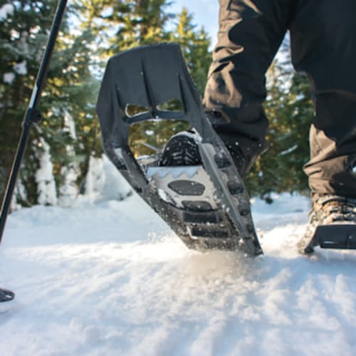 Snowshoeing