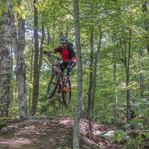 Vélo de montagne