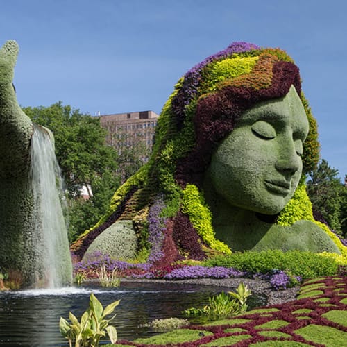 Jardin