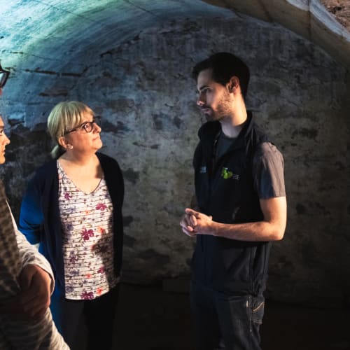 Guided tour