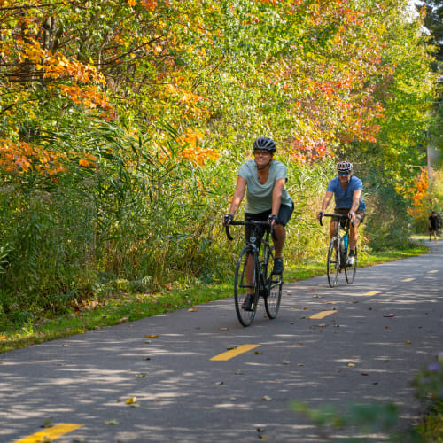 Cycling