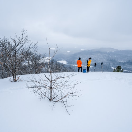 Snowshoeing and ski hok