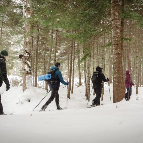 Cross-country Skiing
