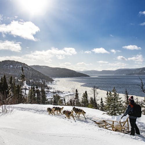 Dogsledding