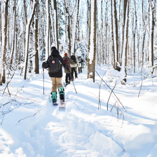 Ski touring