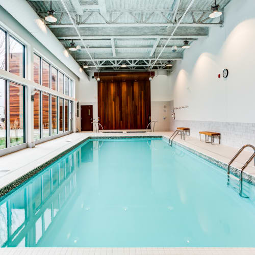 Spas and wellness centres