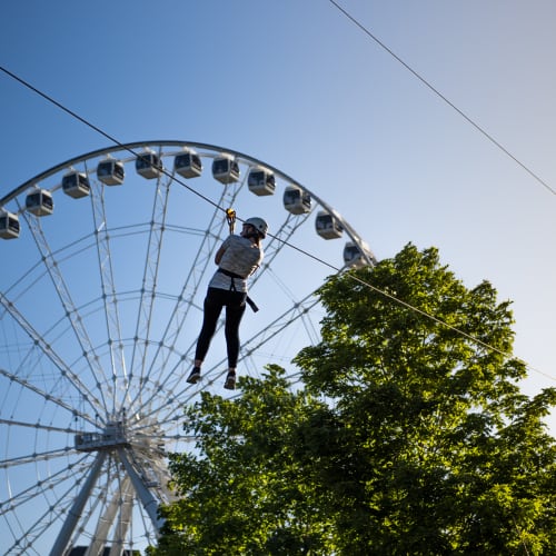 Tyrolienne MTL Zipline