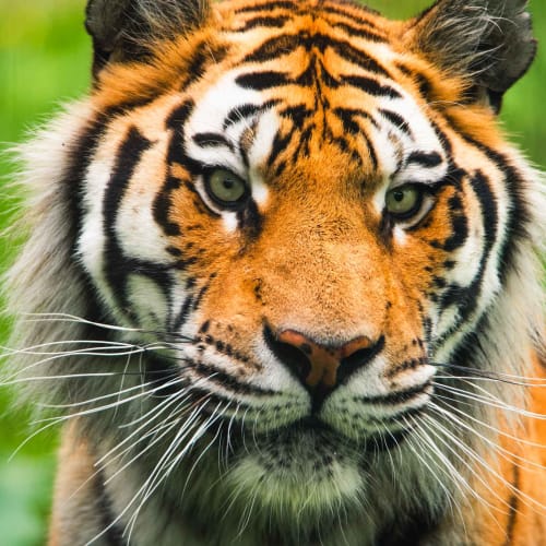 Zoo