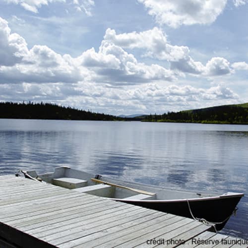 Fishing and/or hunting