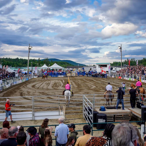 Professional rodeos