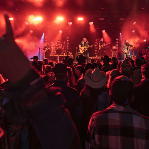 Shows