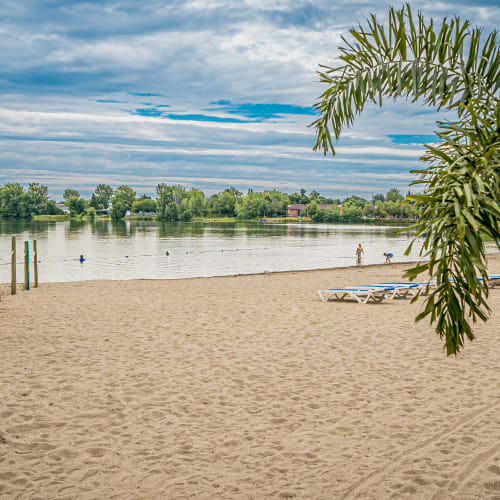 Beach