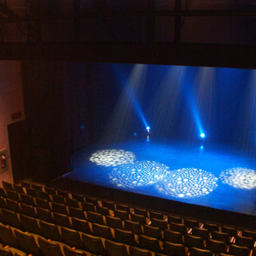 Shows