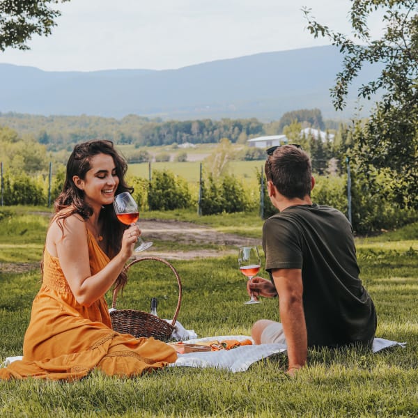 Agrotourisme dans Brome-Missisquoi : pique-nique