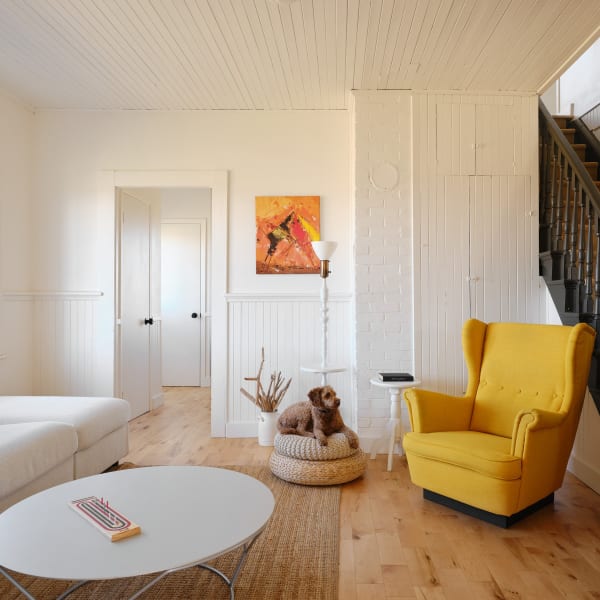 Blanche de l'Ouest - Living room with a dog