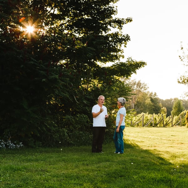 Clos de l'Orme Blanc : garden