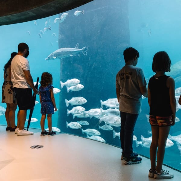 Biodôme – Espace pour la vie