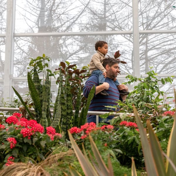 Insectarium - Espace pour la vie