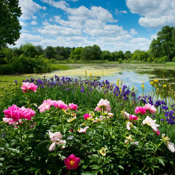 Jardin botanique – Espace pour la vie