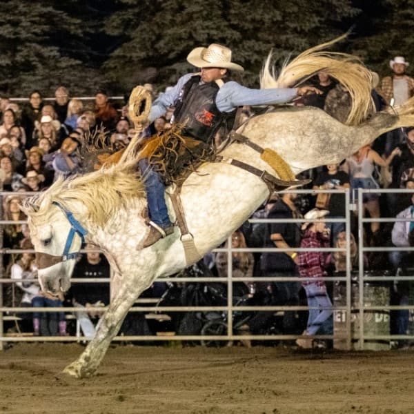 Festival Western Saint-André-Avellin : rodeo