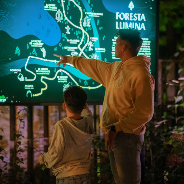 Foresta Lumina au Parc de la Gorge de Coaticook