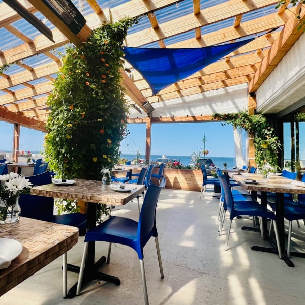 L'APPÂT Buvette : terrasse