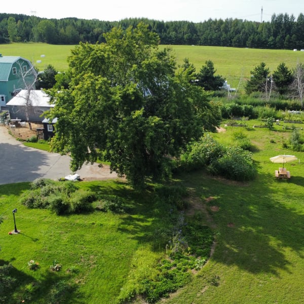 Le Mangeoir - Vue aérienne d'une ferme, avec des tables de pique-nique sur le gazon