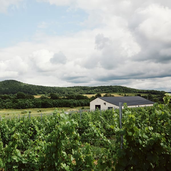 Maison agricole Joy Hill : landscape