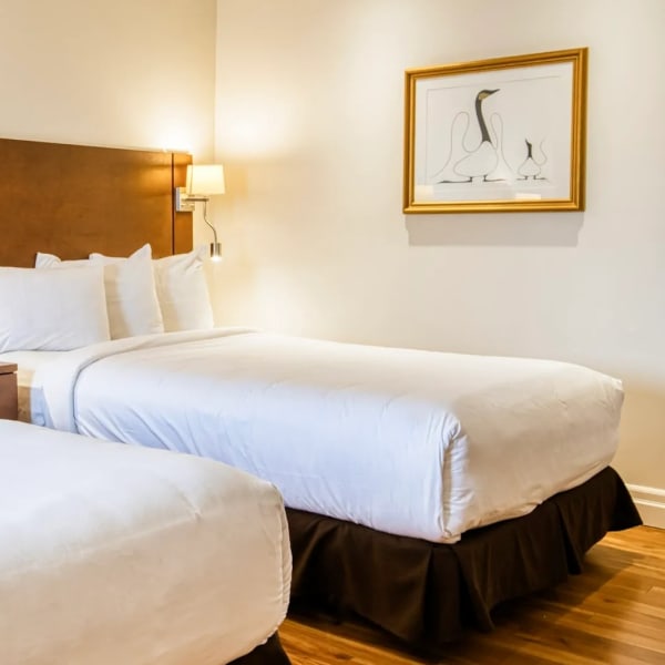 Motel Mistral - Room with two beds