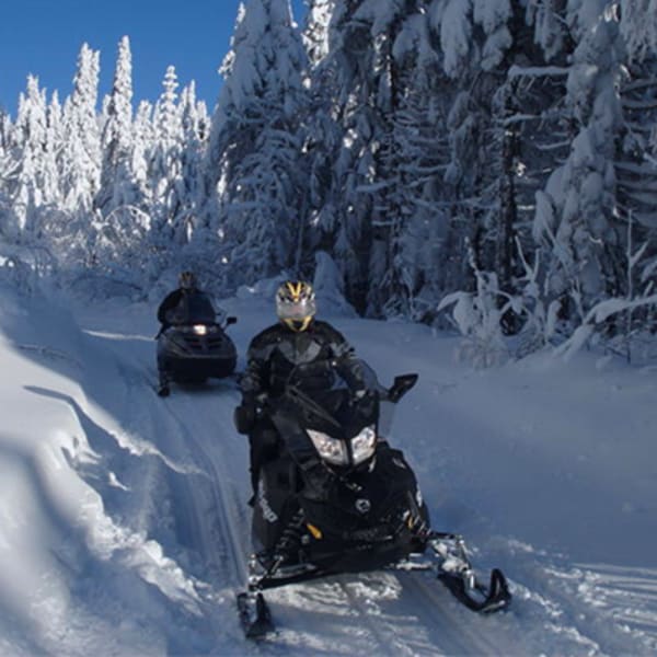 artic_aventure_1