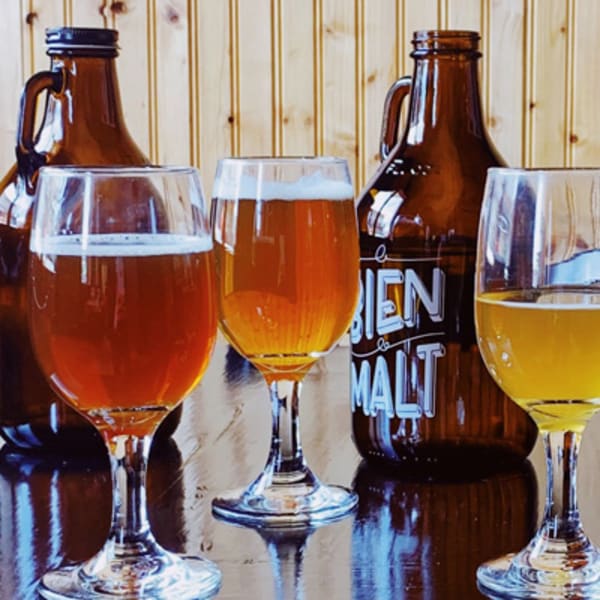 brasserie_artisanale_le_bien_le_malt_1
