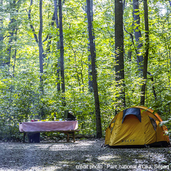 Campground at Parc national d'Oka