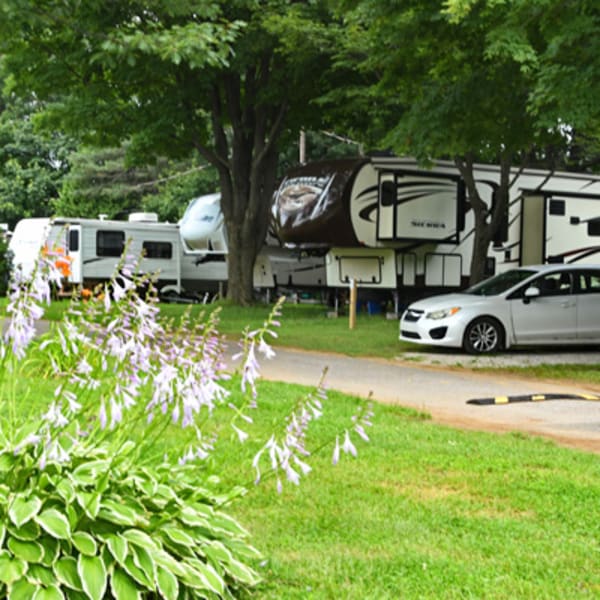 Camping Lac Saint-Michel