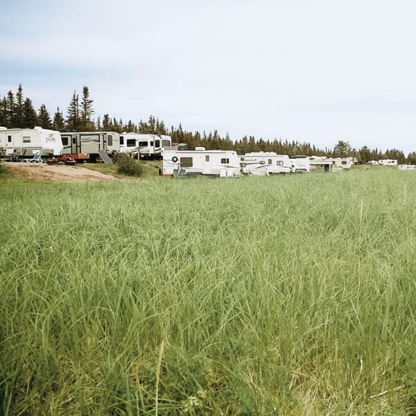 camping_municipal_havre_saint_pierre_1