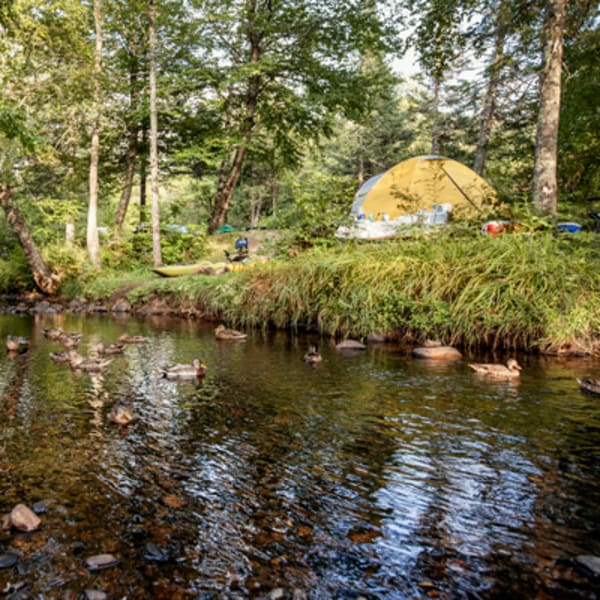 camping_stoneham_1