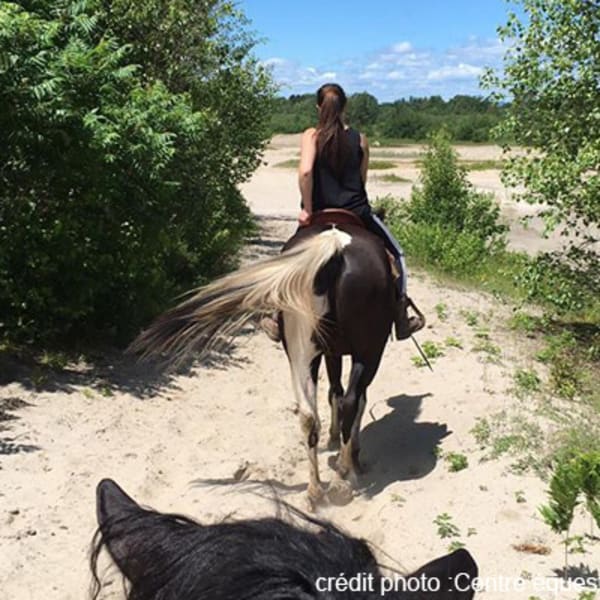centre_dequitation_ranch_chez_real_1