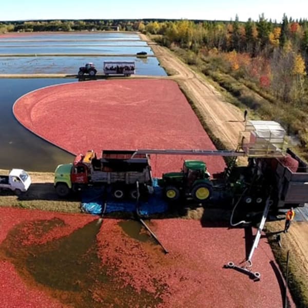 Cranberry Interpretation Centre