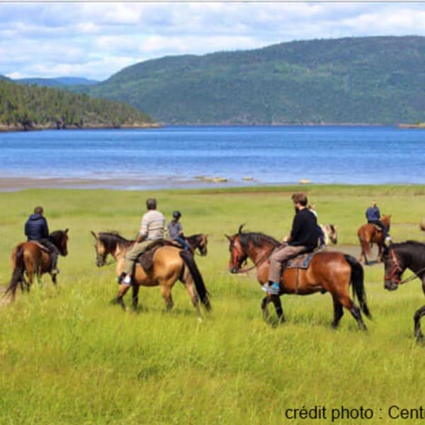 centre_equestre_des_plateaux_1