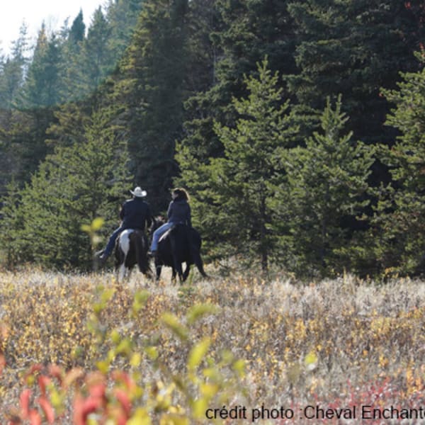 centre_equestre_nature_enr_1
