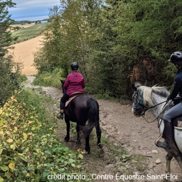 centre_equestre_saint_eloi_1