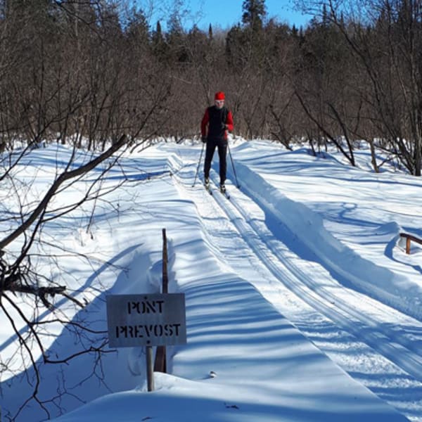 club_de_ski_de_fond_thetford_mines_1_h