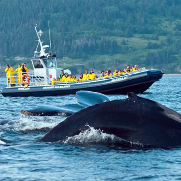 Croisières baie de Gaspé inc.
